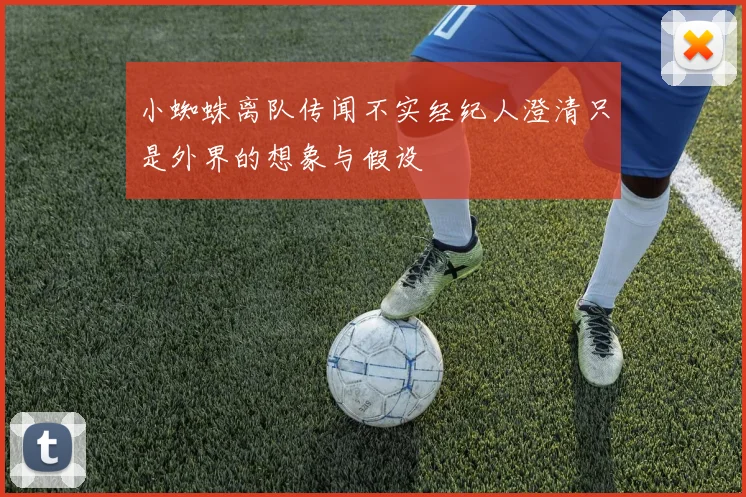 小蜘蛛离队传闻不实经纪人澄清只是外界的想象与假设